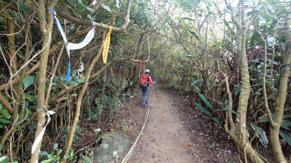 清幽的東北角郊山好路線美艷山火炎山新厝山沿海岸線O型2432645