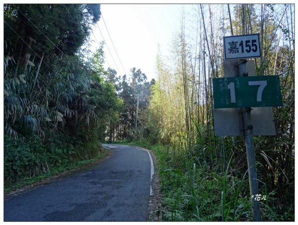 奮起湖大凍山(小百岳)1614093