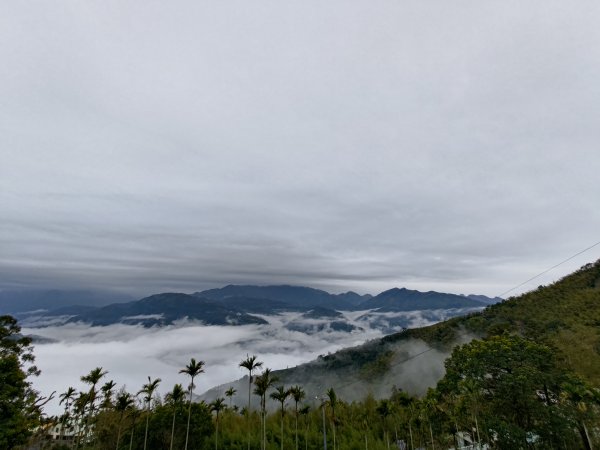 雲嘉大尖山2701277
