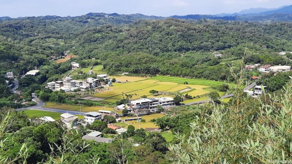 《苗栗》古道巡禮｜劍潭古道及龍昇湖環湖步道202307092213750