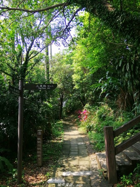 【基隆。仁愛】小百岳集起來。編號7小百岳~紅淡山步道1346386
