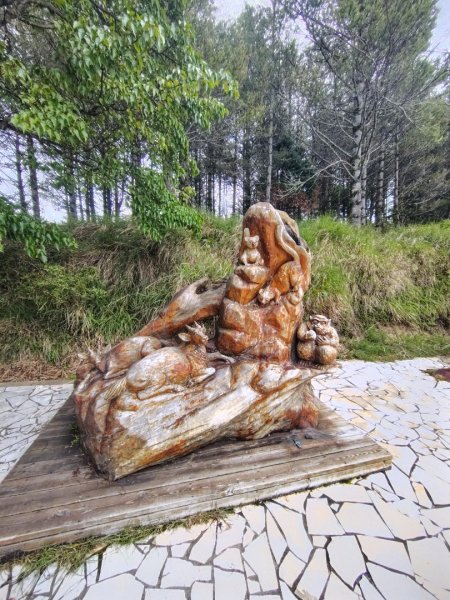 稍來小雪山國家步道、船型山、鞍馬山、鞍馬山東北峰、天池、雪山神木2799963