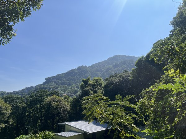 [皮皮獅Hike客任務-07/10] 2024_0831 大山背麒麟步道2586108