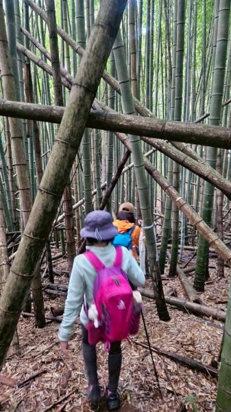 20260103民都有山北峰-主峰-西峰2977639