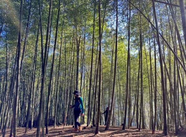 20251117樟空崙步道挑竹古道3號 六連峰O繞2939620