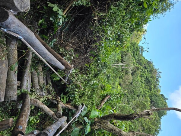 台中大坑四號登山步道（毀損）2563683
