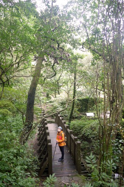 台北大縱走第一段 關渡-忠義山-貴子坑-面天坪-二子坪1609736