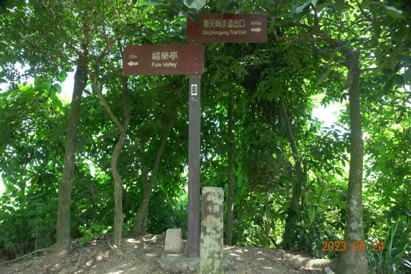 彰化 社頭 清水岩中央嶺造林步道2198409