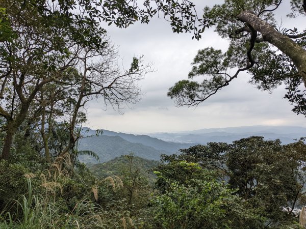 龍門山五分山1629912