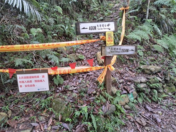 小百岳集起來立霧山登山步道，初音山步道3113465