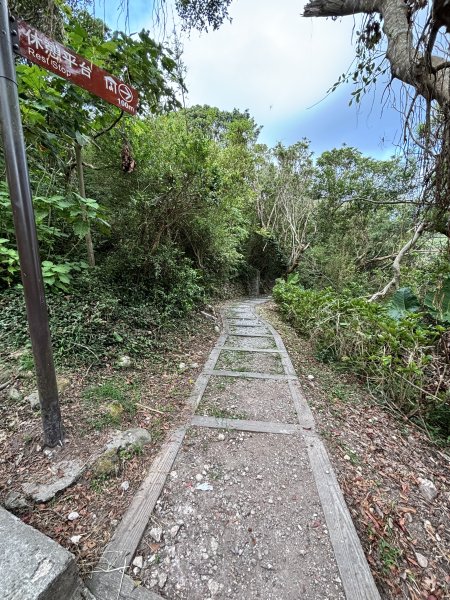 觀音山硬漢嶺 22899089