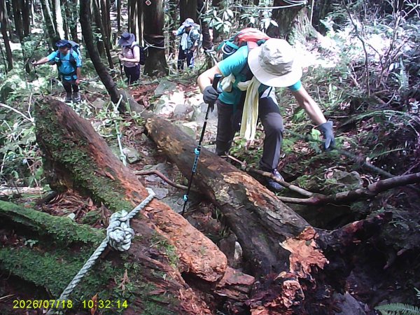 大雪山林道橫嶺山步道、橫嶺山、沙蓮山、笛吹山O繞3090392
