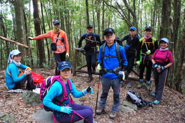 八仙山+佳保台山 ~ 挑戰雄關 辛辣凝香918472