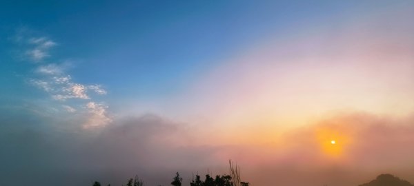 雲山水花鳥蝶-天龍國阿伯的日常 #艷紅鹿子百合 #大鳳蝶 #玉帶鳳蝶2863895