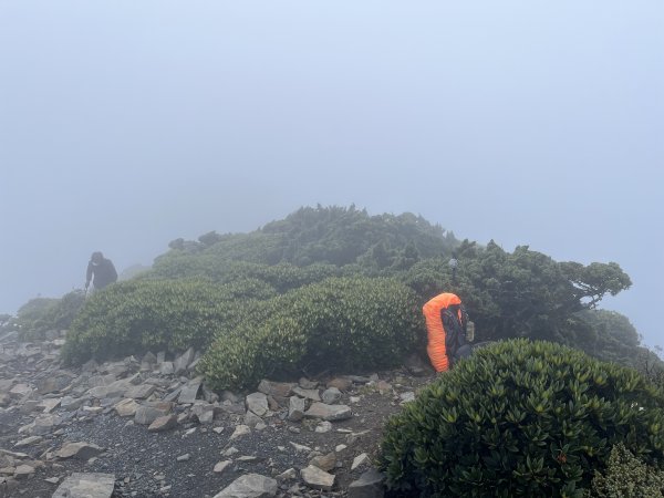 聖稜線I 2023_0525(D3-1) 雪山北峰2166288