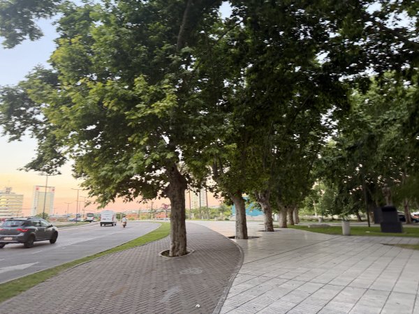 [紐約馬之行-63] 2025_1114 馬爾維納斯群島紀念碑2954446