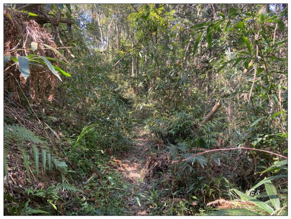 頭社水庫、大舌滿山2757556