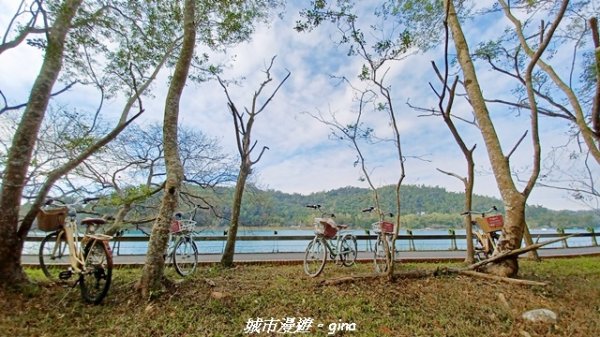 【南投魚池】悠遊騎乘。日月潭自行車環湖步道