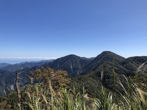 漫步探訪台灣山毛櫸國家步道965888