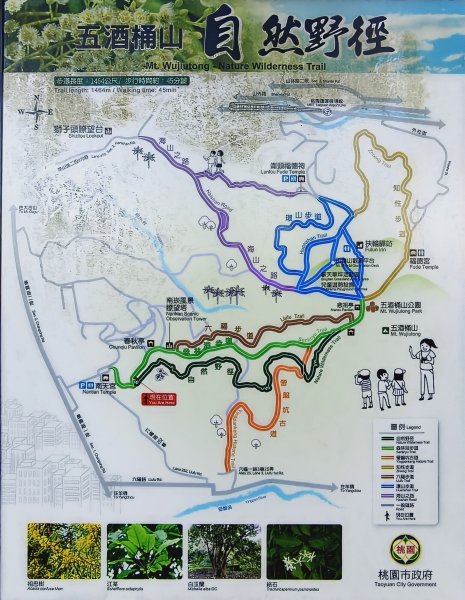 2026/01/25-五酒桶山、山鼻山步道2988087