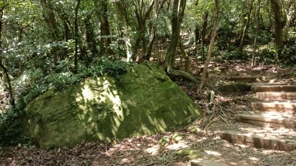 基隆市海興森林步道-情人塔-老鷹岩-情人湖登山步道O型3092722
