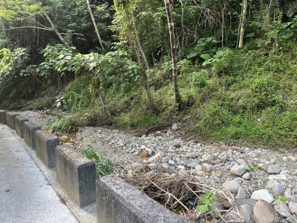 [百山百鳥尋旅-04/15] 2025_0817 龍過脈森林步道2863245