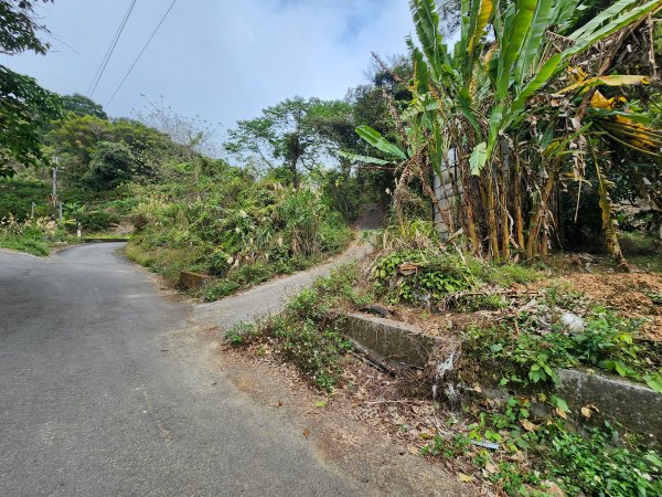 20260201雞冠山與黃麻園山(苗栗縣大湖鄉)3004216