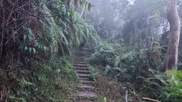 水社大山水社主峰新年二部曲1598799