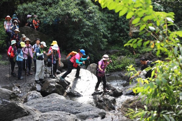 鎮西堡、司馬庫司巨木群-探訪森林感受大地之母蘊育雄偉1348606