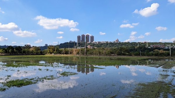 李騰芳古宅,月眉濕地,山豬湖生態園區2379600