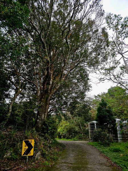 藤枝山-小百岳#68-高雄市桃源區2750320