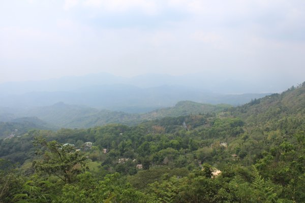 20240504台南難山-竹子尖山2497070