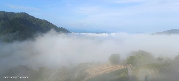 南山寺日出雲海&開眼崙雲霧飄渺大觀音圈8/20封面