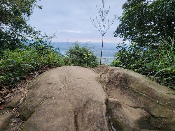 小百岳集起來-溪洲山（石門苗圃）2181571