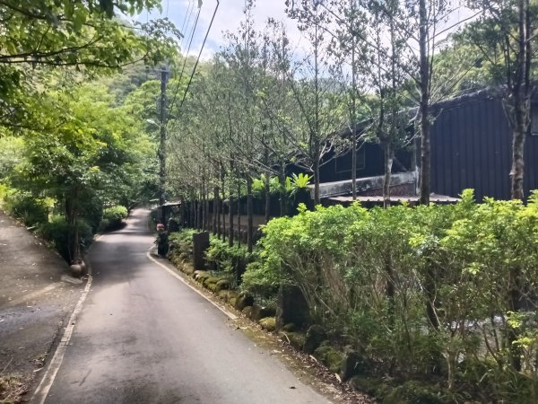 雙溪區崩山坑古道+下坑山稜線越嶺路+下坑山O型2839782