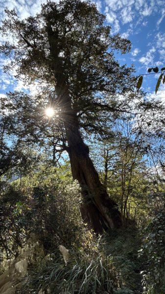 大同舊太平山神社給給池日向台2748245