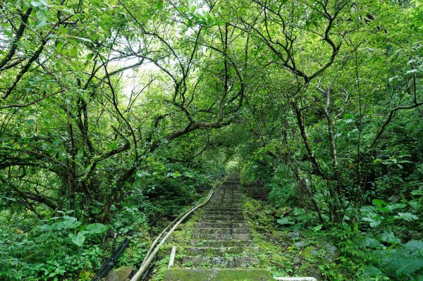 新北 平溪 薯榔尖、石筍尖、魔神仔洞2772541