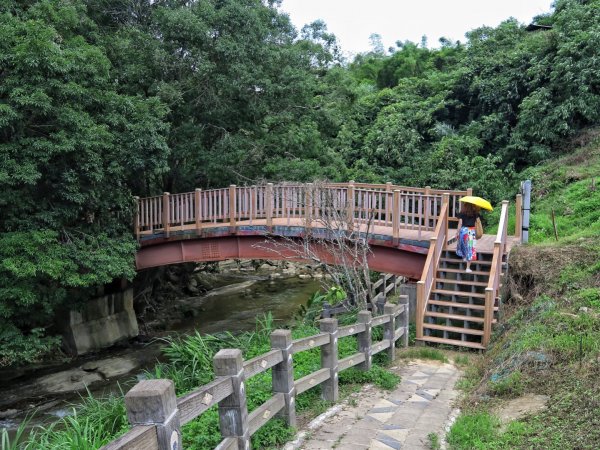 苗栗大湖 伯公潭古圳道1754314
