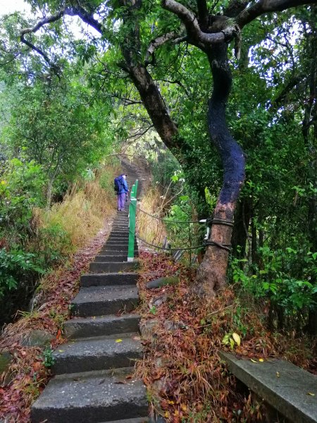 高雄大社~健身踏青好選擇~小百岳觀音山907975