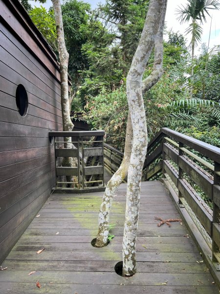 龍美步道 土匪山 公興森態園區2556370