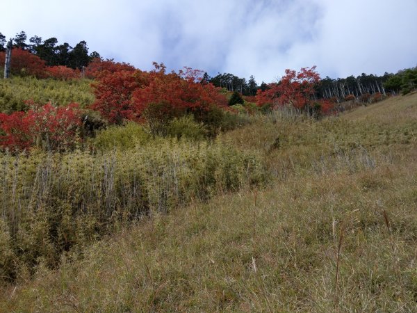 雪山主東峰435353