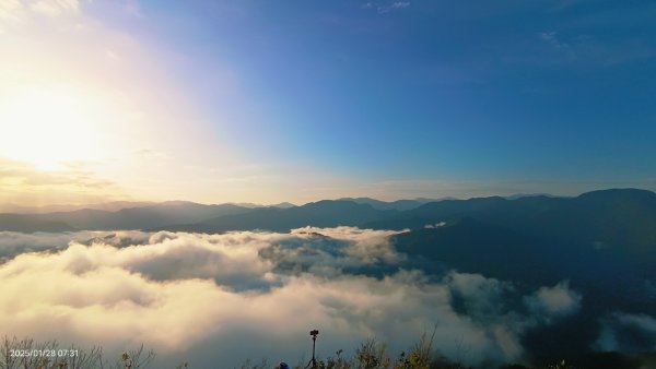 除夕寒流來襲的翡翠水庫雲海&天元宮寒櫻1/282700691