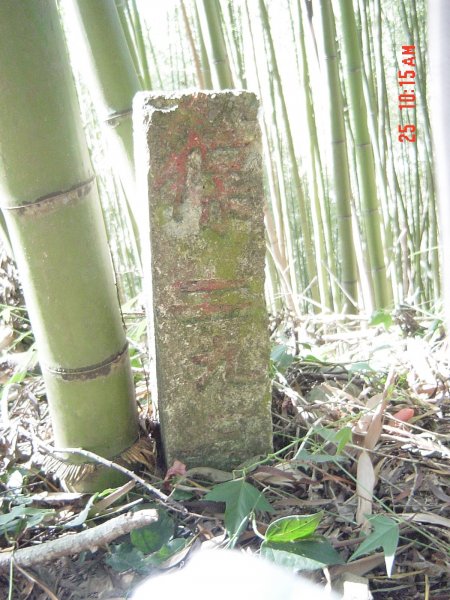 象鼻古道_苗栗泰安象鼻部落200711241954759