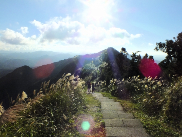 步道小旅行-賞芒聖地五分山3883