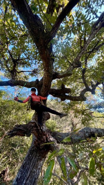 【谷關七雄】波津加(H1771.6m)肉腳配速成功2670569