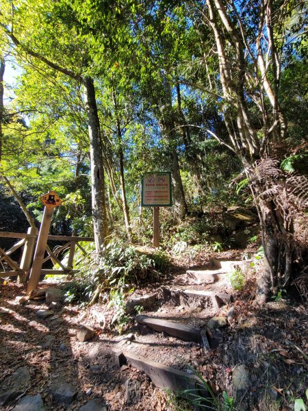 鳶嘴稍來山國家步道2380327