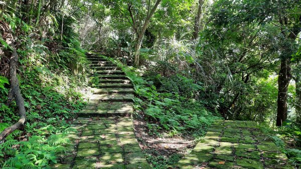 《新竹》石階古道｜橫山大崎棟古道O繞上大山背山202308252261586