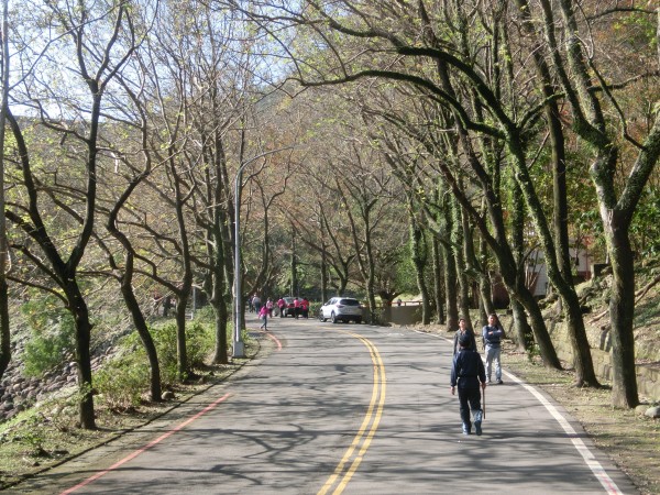 槭林公園．石門水庫．南苑園區237339