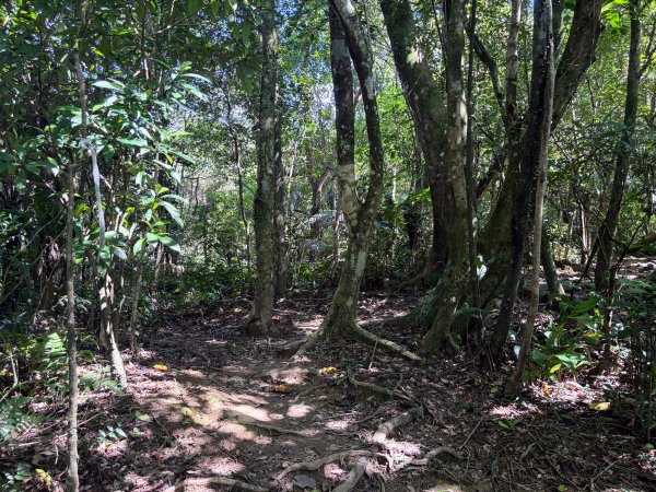 五分山系-望古瀑布段2896301