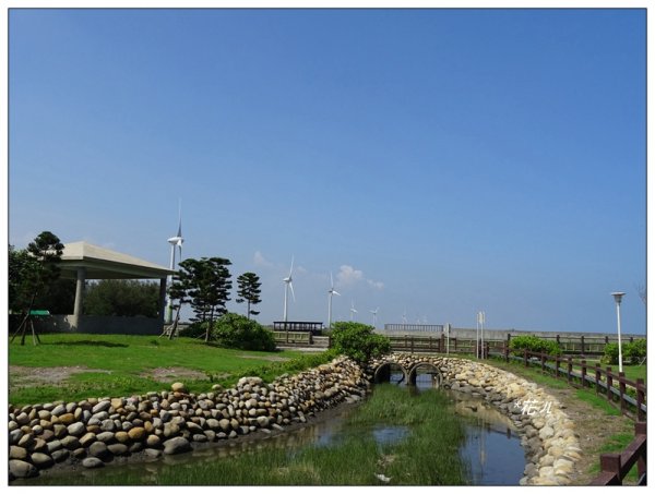 大安龜殼公園景觀步道976504